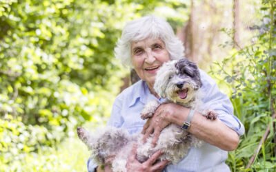 When Is a Dog a Senior? Factors That Influence Aging